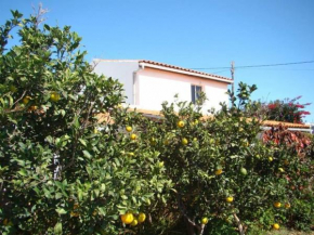 Orchard Cottage